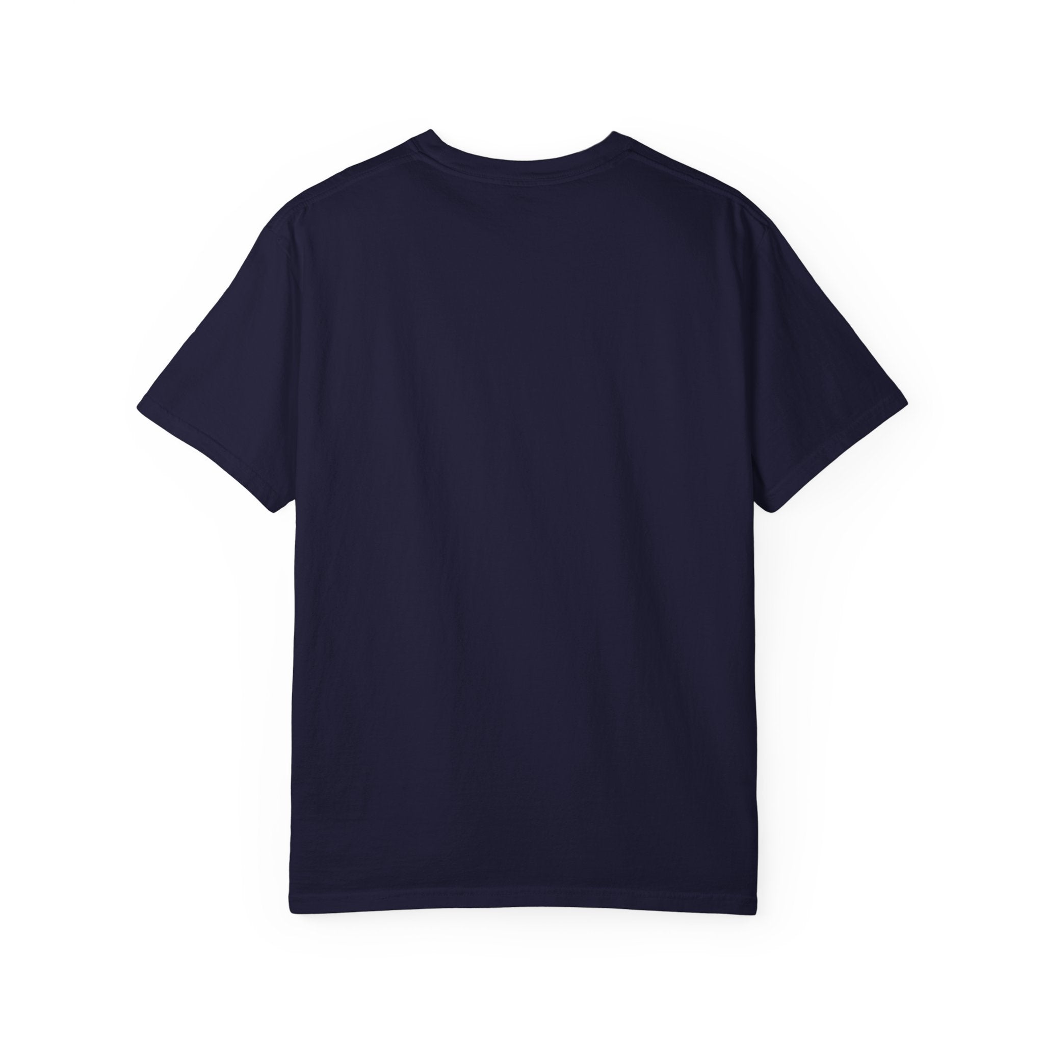 USA 2026 Striped Fan T-Shirt — Morphing into Eagles